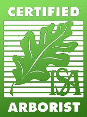 wellington tree arborist